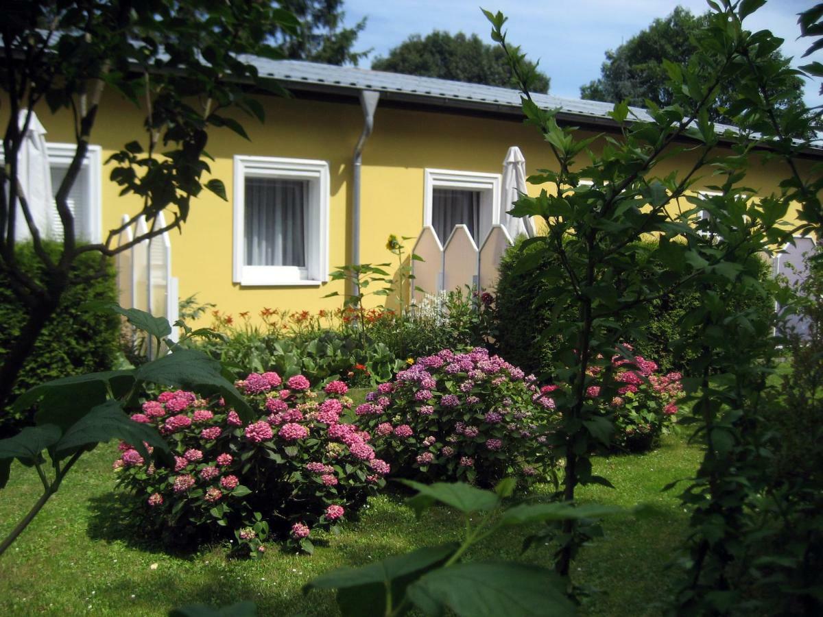 Haus Am Wald Leilighet Heringsdorf  Eksteriør bilde